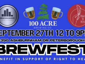 Rock for Healing: Brewfest with Purpose at 100 Acre Brewing