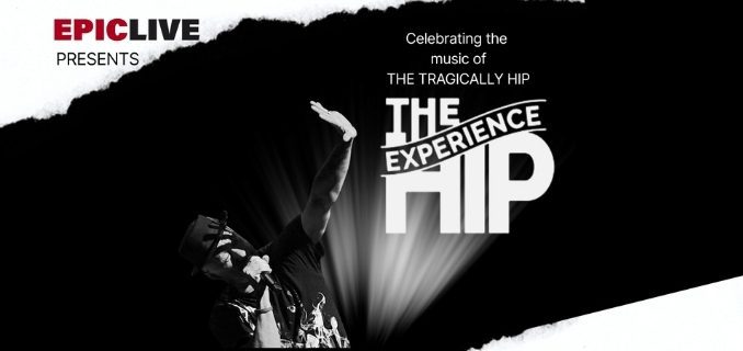 The Hip Experience