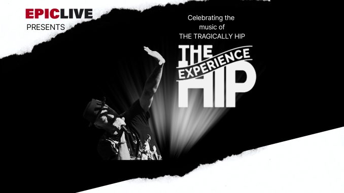 THE HIP EXPERIENCE