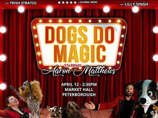 Canine Circus Presents: Dogs Do Magic