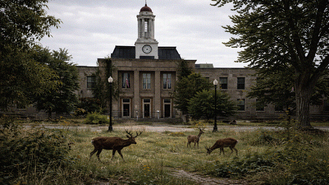 CITY HALL: April 13 — The Decisions Before the Decisions